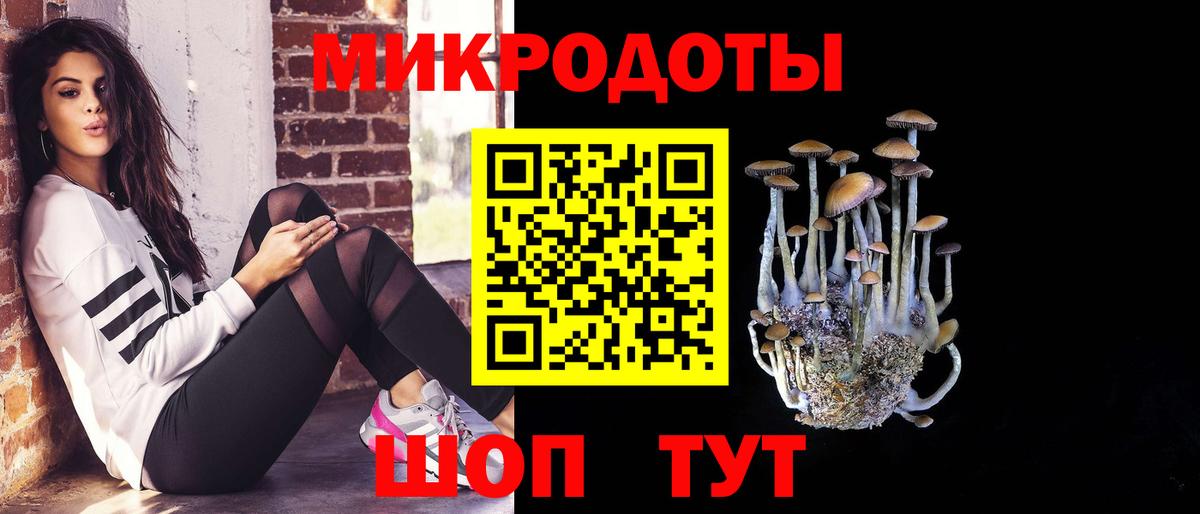 Галлюциногенные грибы прущие грибы Чита